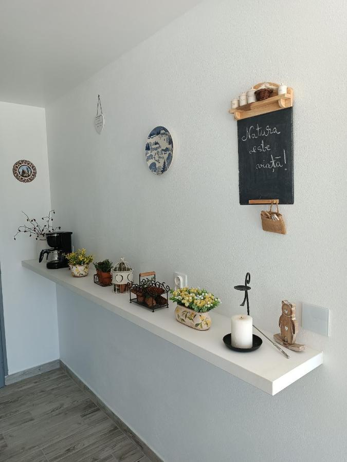 Cabana De Pe Stanca Colibiţa 外观 照片